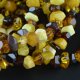 Wholesale oval beads amber bracelet